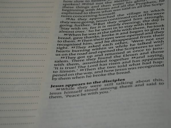 A close up of an open book with writing on it