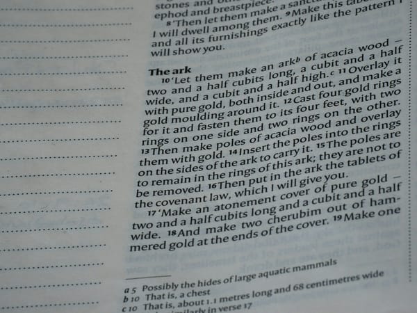 Text from a book detailing the ark's construction
